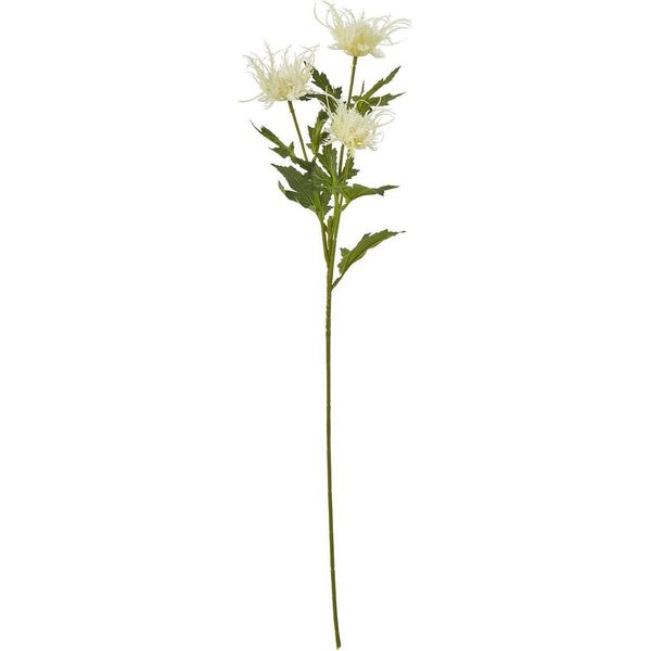 Hill Interiors - Fiore Artificiale HI5061 (Taglia Unica) (Colore Crema)-image