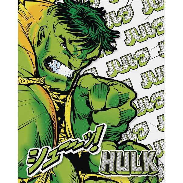Marvel - Leinwanddruck "Fury"" PM11757 (50 Cm X 40 Cm) (GrüN/Weiß)"-image