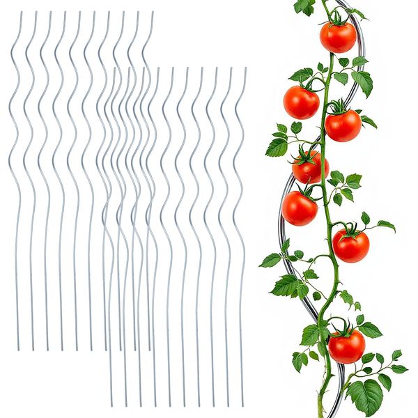3.10 Bastoni A Spirale Per Pomodori In Set Da 20 - Ciascuno 110 Cm - Bastone Per Piante Da Giardino Zincato (2X 10 Pezzi)-image