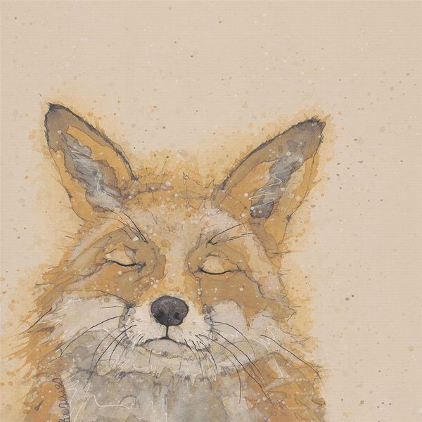 Bev Davies - Leinwanddruck "Volpe Zen"" PM11812 (30 Cm X 30 Cm) (Arancione)"-image