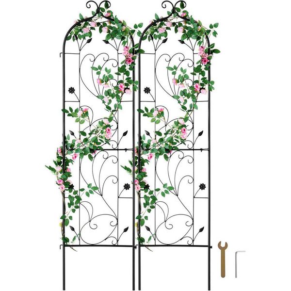 Set Di 2 Tralicci Per Piante Rampicanti - Traliccio Per Piante 38X152Cm - Decorazione Da Giardino Per Piante Rampicanti-image