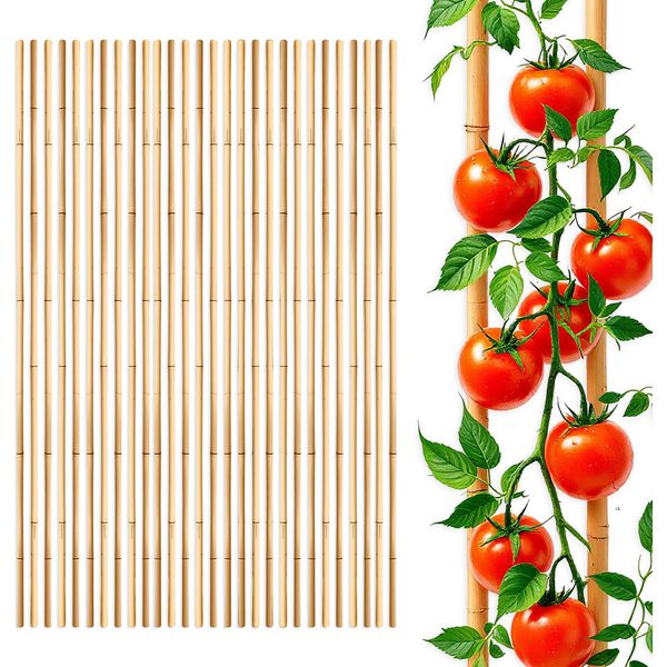 Bastone Da Piantagione In Bambù 105 Cm X 8-10 Mm - Set Di 30 - Bastone Da Piantagione In Bambù A Traliccio Bastone Tonkin (3X 10 Pezzi)-image