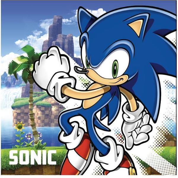 Asciugamano Per Mani E Viso Sonic The Hedgehog Island 30×30 Cm-image