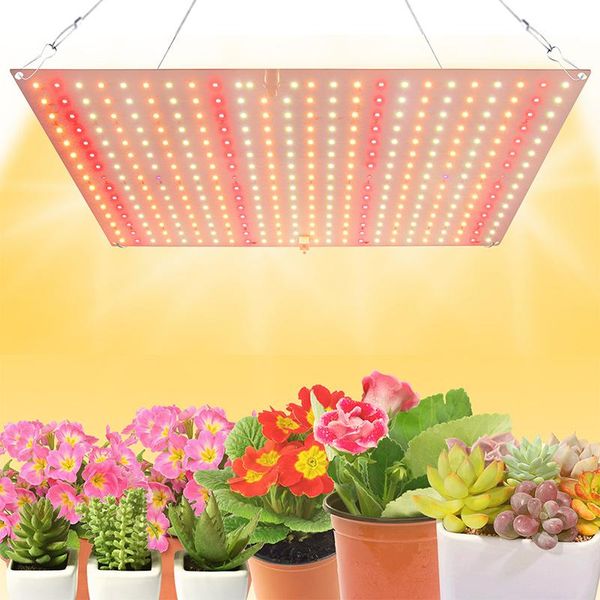 360 Led Lampada Per Piante A Spettro Completo 2 Modalità Di Luce Lampada Per Piante Da Interno Lampada Per Piante Da Coltivazione-image