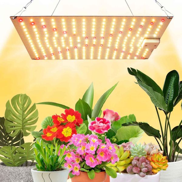 240 Led Lampada Per Piante A Spettro Completo Luce Per Piante Da Interno Lampada Per Piante Da Coltivazione Lampada Da Coltivazione-image