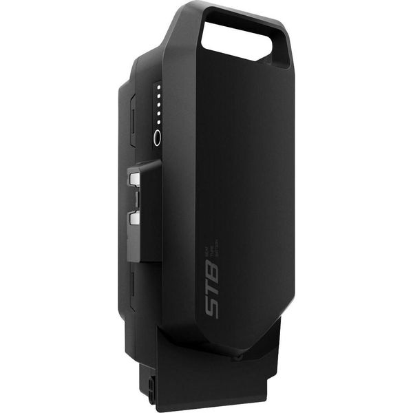 Per Flyer GOTOUR4, Batteria Per E-Bike Lion 36 V 20,1 Ah (750 Wh)-image