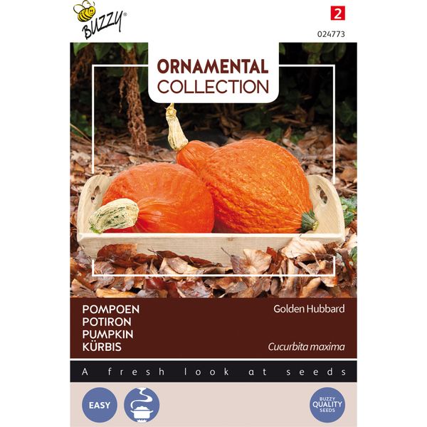 Buzzy Semi Di Zucca Ornamentale Golden Hubbard - Circa 2,5 Gr | Buzzy_024773-image