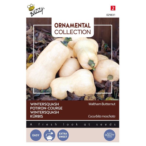 Buzzy Semi Di Zucca Ornamentale Waltham Butternut - Circa 1,5 Gr | Buzzy_029831-image