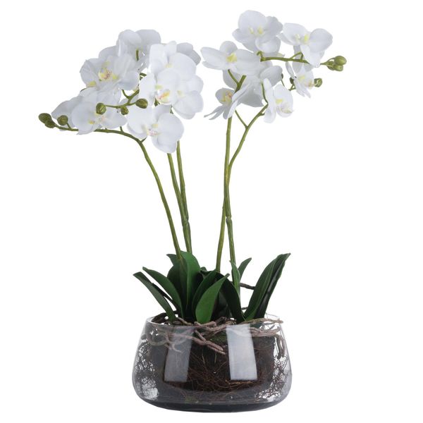 Hill Interiors - Fiore Artificiale, Orchidea HI3421 (Taglia Unica) (Verde)-image