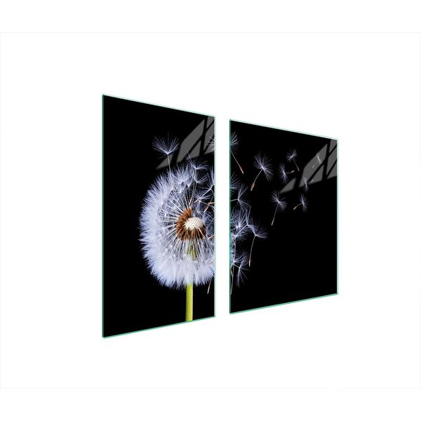Piastre Copri Fornelli 2 Pezzi 100X52 Copri Piano Cottura In Ceramica Tagliere In Vetro Dente Di Leone Nero-image