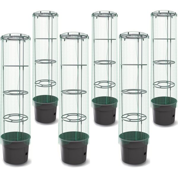 6X Pianta Di Pomodoro Con Coperchio E Fioriera In Foglio 28 L, Coltivatore Di Pomodori, Vaso Di Pomodori, Fioriera, Verdura, Lavaggio Pomodoripianta Di Pomodoro Con Coperchio In Foglio, Fioriera 12 L Coltivatore Di Pomodori, Vaso Di Pomodori, Fioriera-image