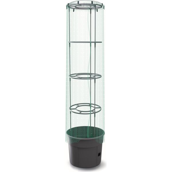 Coperchio E Film Per Piante Di Pomodoro Ldpe 12 L, Coltivatore Di Pomodori, Vaso Di Pomodori, Fioriera, Ortaggi, Pianta Di Pomodoro Film Per Serre Film Per Serre Traspirante Protezione Piante Gelo-image