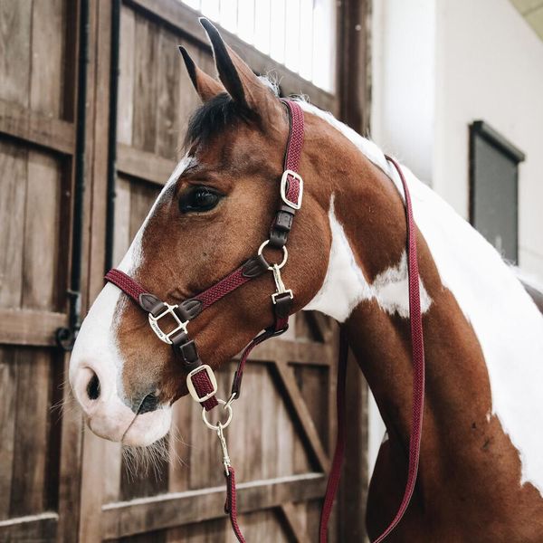 Kentucky Horsewear Stallhalfter Nylon Intrecciato Halfter Nylonhalfter Bordeaux Completo-image
