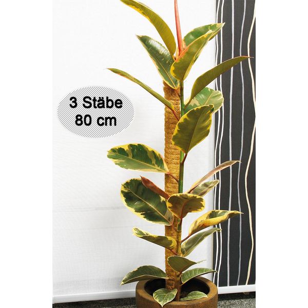 Novatool 3X Palo In Cocco Per Piante 80 Cm I Ø 45 Mm I Estensibile I Fibra Di Cocco Naturale I Palo Di Cocco Per Piante Monstera Palo Di Muschio Edera-image