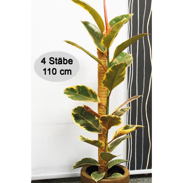 Novatool 4X Palo Da Arrampicata In Cocco 110 Cm I Ø 45 Mm I Estensibile I Fibra Di Cocco Naturale I Supporto Per Piante Da Arrampicata Per Piante D'appartamento Palo Per Vasi Da Fiori-image