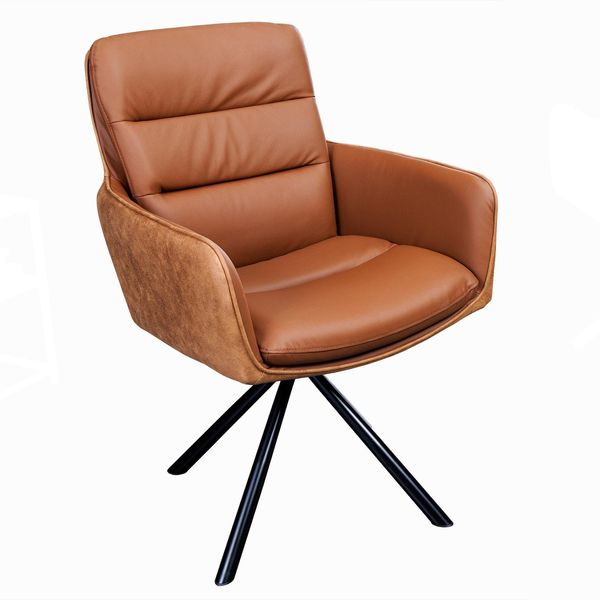 Riess-Ambiente Stuhl BIG George - Cognac Echtleder Microfaser Mit Armlehne Retro Drehbarer Design-image