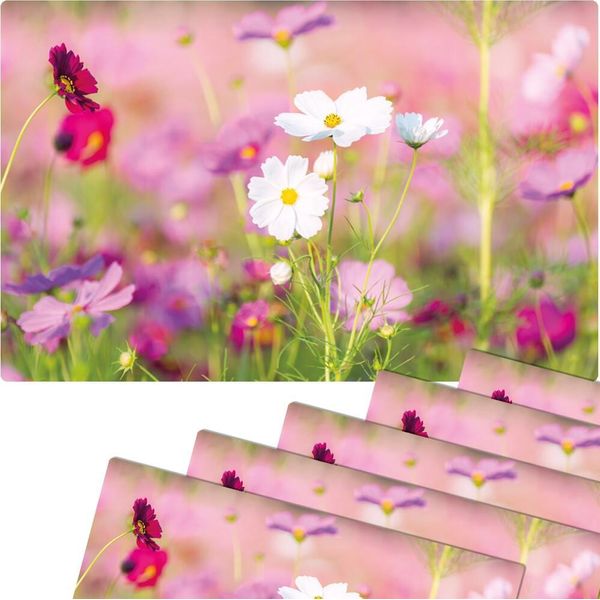 Set Di 6 Tovagliette Lavabili Rosa Prato Fiore Bianco-image