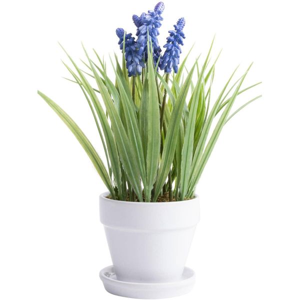 Kunstblume BOTANIC-HAUS "Muskari Getopft", Lila (Lila, Blau), B:18Cm H:26Cm T:18Cm Ø:18Cm, Kunststoff, Kunstpflanzen-image