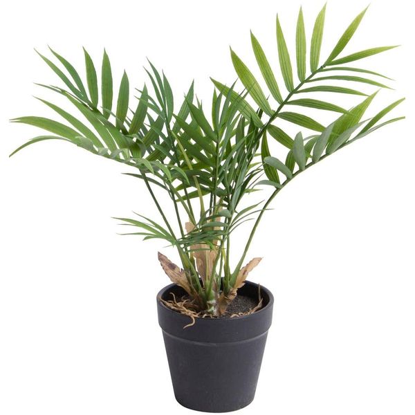 KüNstliche Zimmerpflanze BOTANIC-HAUS "Chamaedorea Palme", GrüN, B:30Cm H:28Cm T:30Cm Ø:30Cm, Kunststoff, Kunstpflanzen, KüNstliche Zimmerpflanze-image