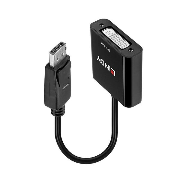 Lindy Adattatore Displayport E DVI-D 0,17 M-image