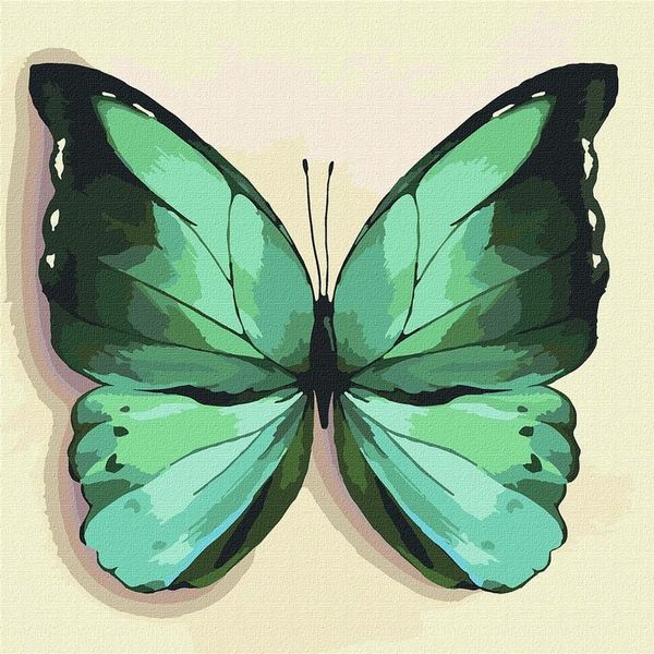 Pittura Per Numeri - Farfalla Verde 25X25-image