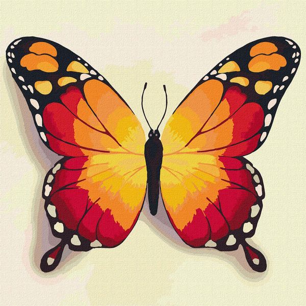 Ideyka Pittura Per Numeri Farfalla Arancione 25X25 Animali Con Cornice In Legno-image