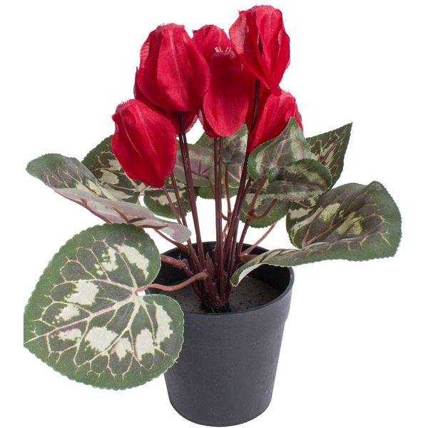 Kunstblume BOTANIC-HAUS "Alpenveilchen", Rot, B:20Cm H:24Cm T:20Cm Ø:20Cm, Kunststoff, Kunstpflanzen-image