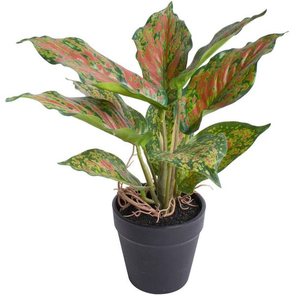 KüNstliche Zimmerpflanze BOTANIC-HAUS "Caladium", Bunt (GrüN, HellgrüN, Rotbraun), B:24Cm H:25Cm T:24Cm Ø:24Cm, Kunststoff, Kunstpflanzen, KüNstliche Zimmerpflanze-image