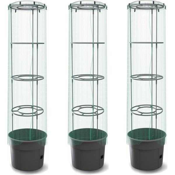 3X Pianta Di Pomodoro Con Coperchio E Fioriera In Foglio 28 L, Coltivatore Di Pomodori, Vaso Di Pomodori, Fioriera, Verdura, Lavaggio Pomodoripianta Di Pomodoro Con Coperchio In Foglio, Fioriera 12 L Coltivatore Di Pomodori, Vaso Di Pomodori, Fioriera-image