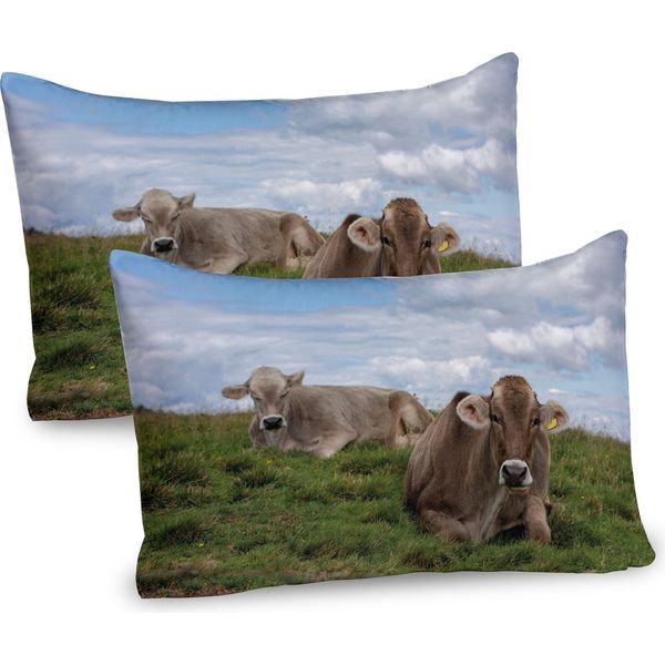 Abakuhaus Federa Per Cuscino Con Motivo Animali Della Fattoria, Confezione Da 2, Tema Agricoltura, Foto Di Mucche Al Pascolo Con Un Incredibile Cielo Nuvoloso, Federa Decorativa Stampata, 80X40 Cm, Multicolore-image