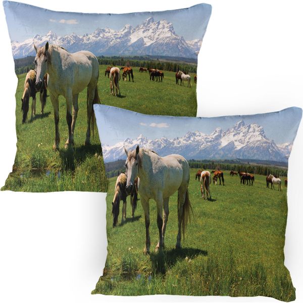 Abakuhaus Parchi Nazionali Federa Per Cuscino Confezione Da 2, Design Cavallerizzo Snowy Cime Montuose Idilliache Arabian Horse Stampe Artistiche, Federa Per Cuscino Decorativa Stampata, 80X80 Cm, Multicolore-image