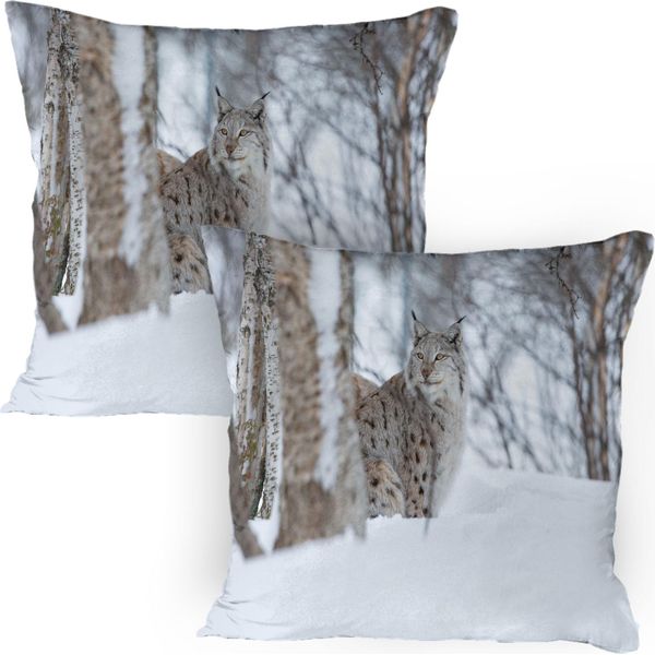 Abakuhaus Federa Per Cuscino Con Animali, Confezione Da 2, Lince Europea Snowy Cold Forest Norvegia, Animale Nordico, Federa Decorativa Stampata, 80X80 Cm, Marrone Chiaro E Bianco-image