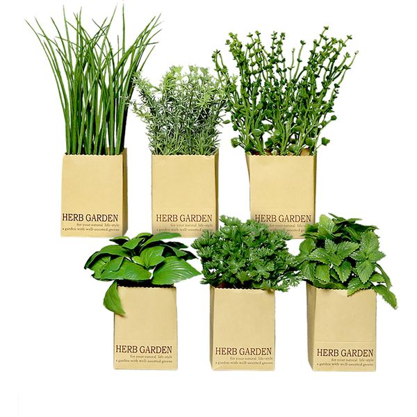 3.08 Assortimento Di Erbe Artificiali In Carta - Set Da 6 - Herb Garden Erbe Decorative-image
