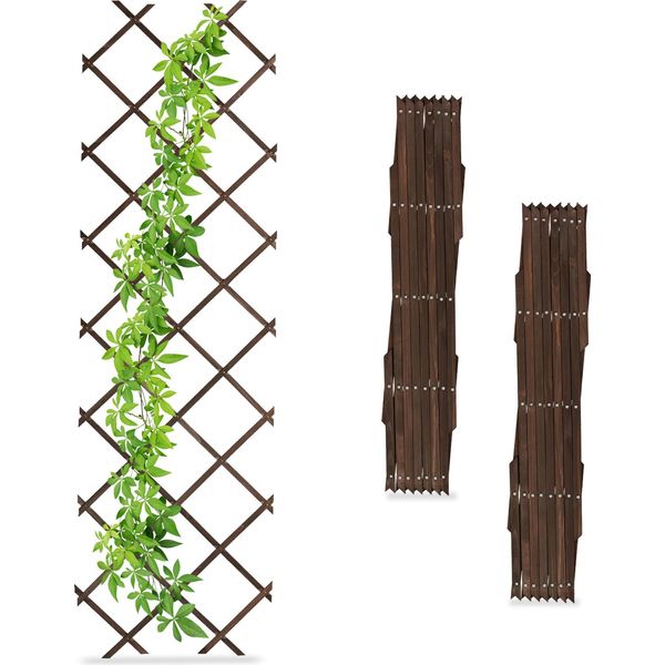 Relaxdays Traliccio, Estensibile, Set Di 3, Supporto Per Piante Rampicanti, 180X60 Cm, Giardino, Balcone E Terrazza, Legno, Marrone, 180X60Cm-image