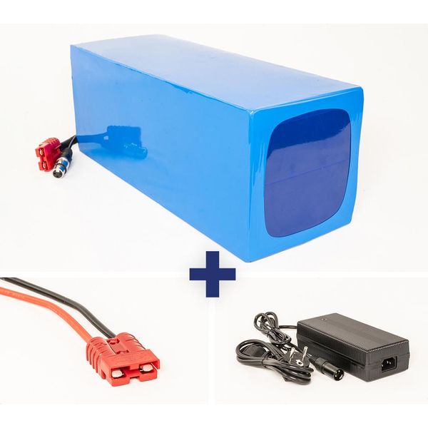 Batteria Agli Ioni Di Litio 48V 50Ah 60A-image