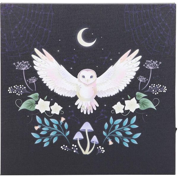 Something Different - Tela Luminosa "Night Owl"" SD6433 (Taglia Unica) (Multicolore)"-image