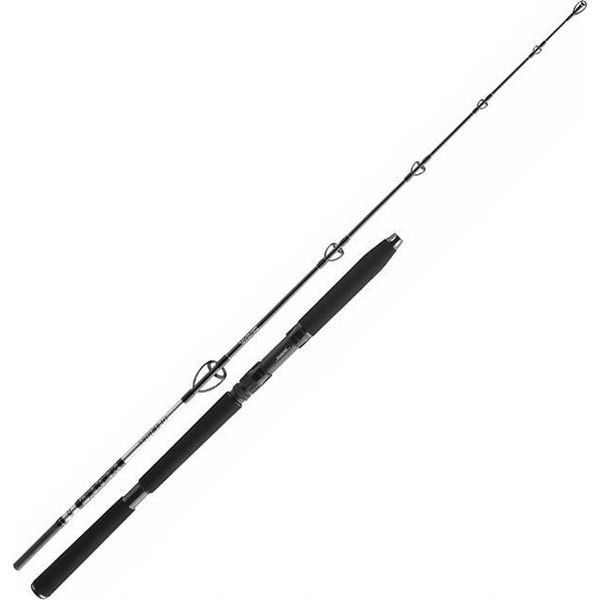 Daiwa Rod Bg Sea Jigger 1,70M 150-400G 2 Pezzi-image