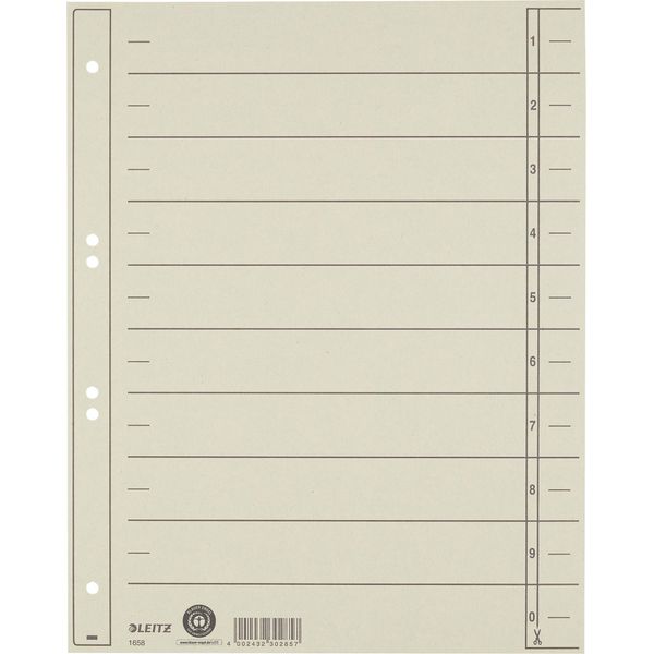 Divisorio Leitz 16580085 A4 230G Cartone Grigio 100 Pezzi/Confezione.-image