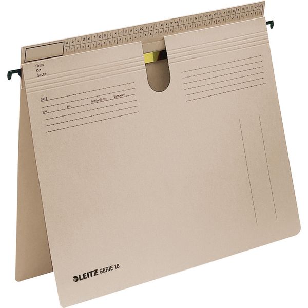 Cartelle Sospese Leitz Serie 18 18140085 A4 Manila Cartone Grigio 50 Pz./Confezione.-image