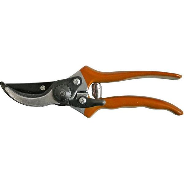 Forbici Strend Pro P0807, Da Giardino, Per Uva E Rami, Per Viticoltori, 200 Mm-image