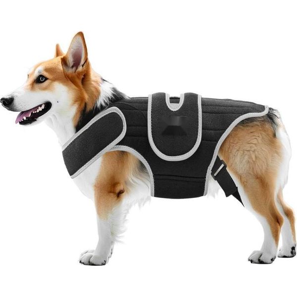 Supporto Per Cani - Supporto Per La Schiena - Imbracatura Di Sostegno Spinale Per Ivdd - Taglia M-image