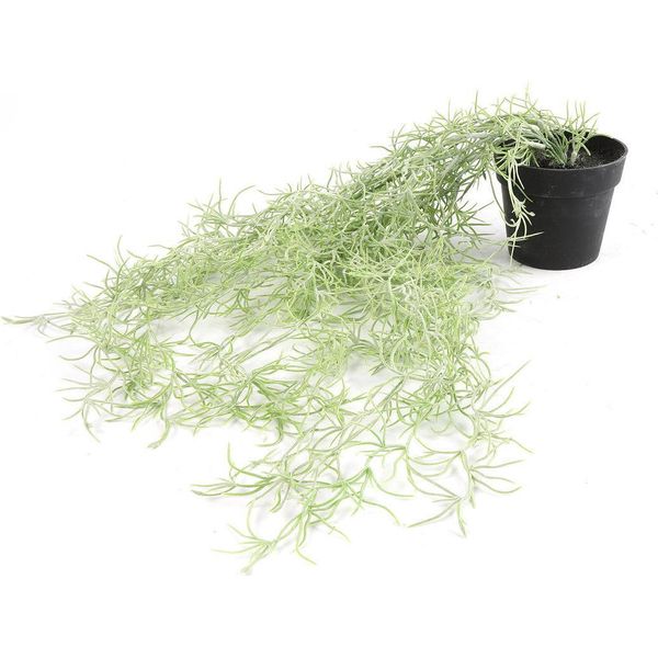 Pianta Artificiale Countryfield Tillandsia Verde Pianta Decorativa 50 Cm-image