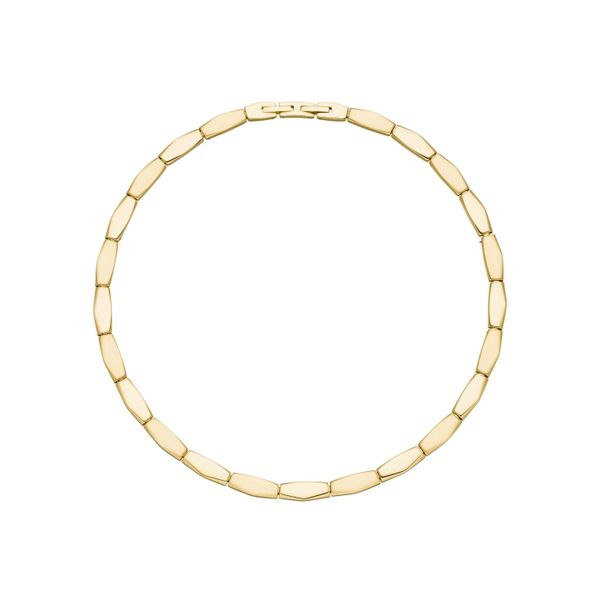 Collier Jobo, Gold (Goldfarben), Halsketten, Damen, Edelstahl, L: 46, Collier, Edelstahl Goldfarben 46 Cm-image