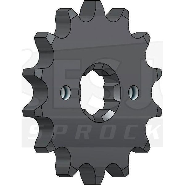 Pignone Esjot "15044"" 428, Acciaio 13 Denti"-image