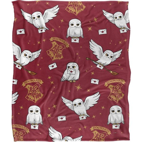 Harry Potter - Coperta, Lettera TV19008 (Taglia Unica) (Colorata)-image