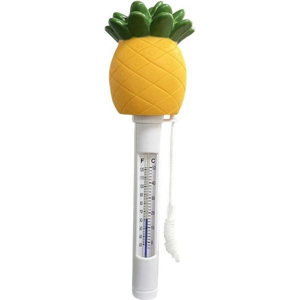 Termometro Galleggiante Con Cavo - Ananas-image