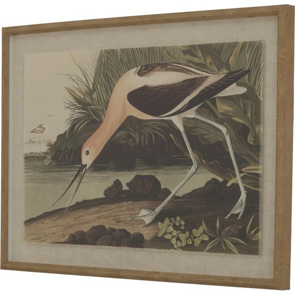 Hill Interiors - Quadro Da Parete "Flora & Fauna Collection"", Avocet HI5164 (45 Cm X 2 Cm X 62 Cm) (Colorato)"-image