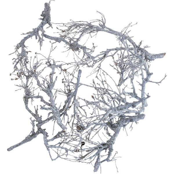 Ramoscelli Decorativi Di Legno Bonsai Bianco Lavato Per Decorazioni Da Tavola E Composizioni Floreali, Naturale E Rustico, 800G-image