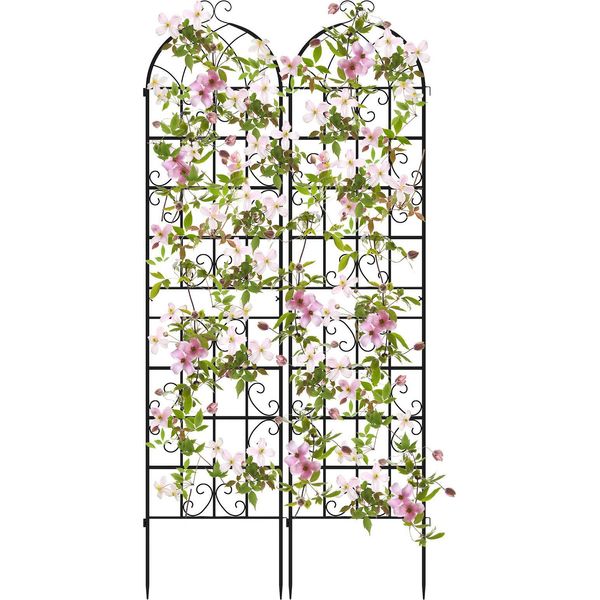 Costway Traliccio In Metallo, Set Di 2, Recinzione Da Giardino, Traliccio Autoportante, Traliccio Da Giardino Da Inserire, Traliccio Per Fiori E Ortaggi Nero 220X50 Cm-image