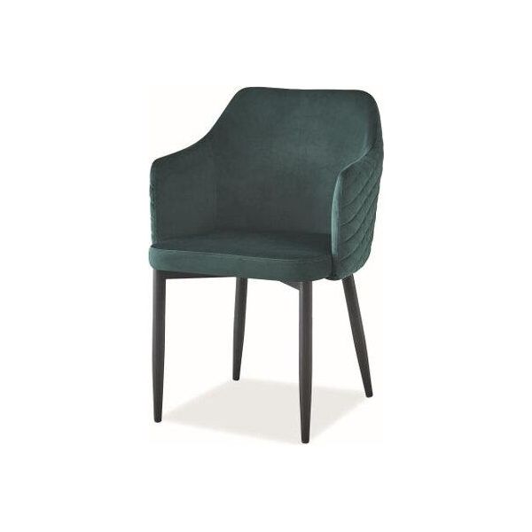 Set Di Sedie Da Pranzo Per Cucina Astor Green Set Of 2-image